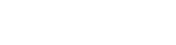 選挙たろう